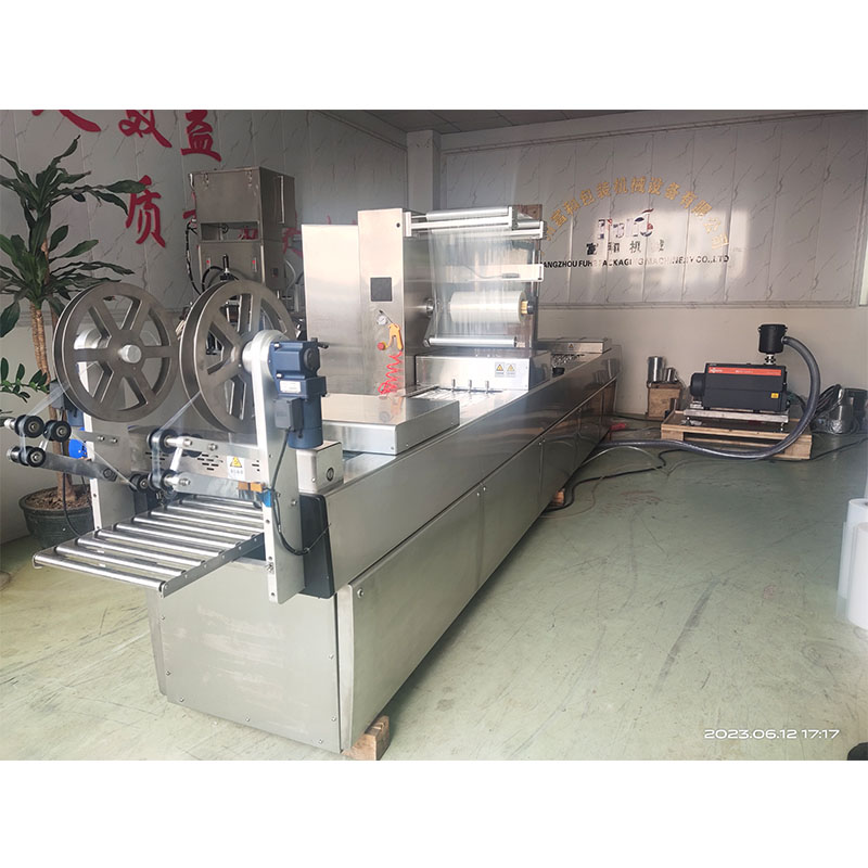 DZR-420C Automatic thermal forming packing machine view 2