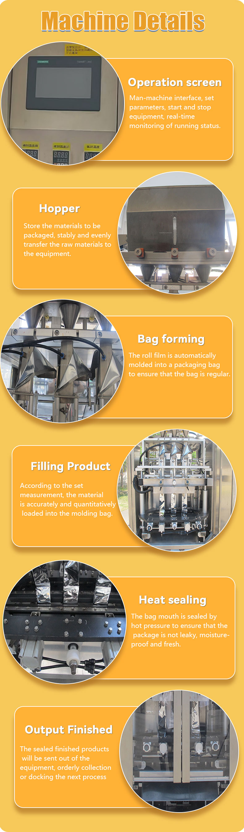Packaging Machine System Detail