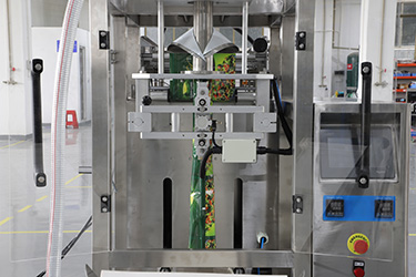 Main Packing Machine