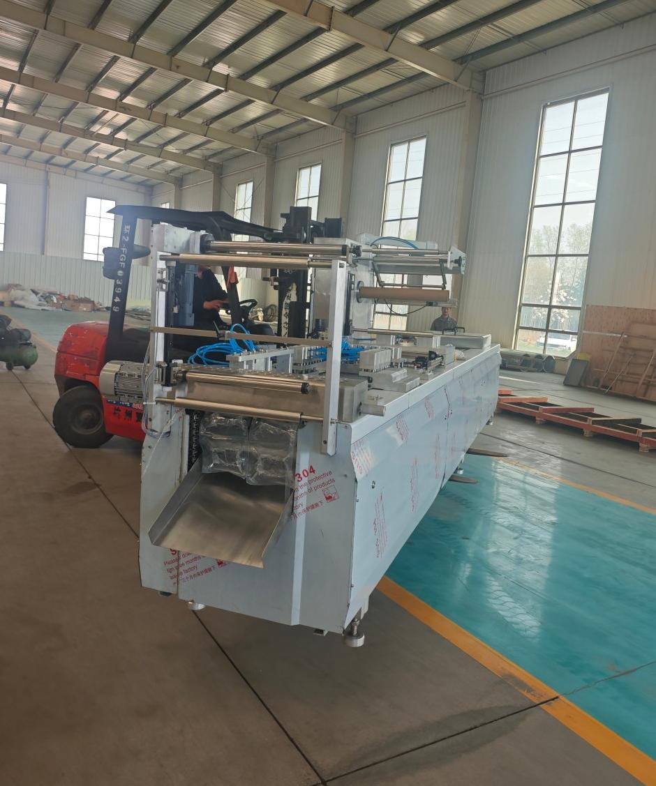 Thermoforming Vacuum Packaging Machine, for Sausages, Fish Products and Pastries; for Factory and Commercial Use.