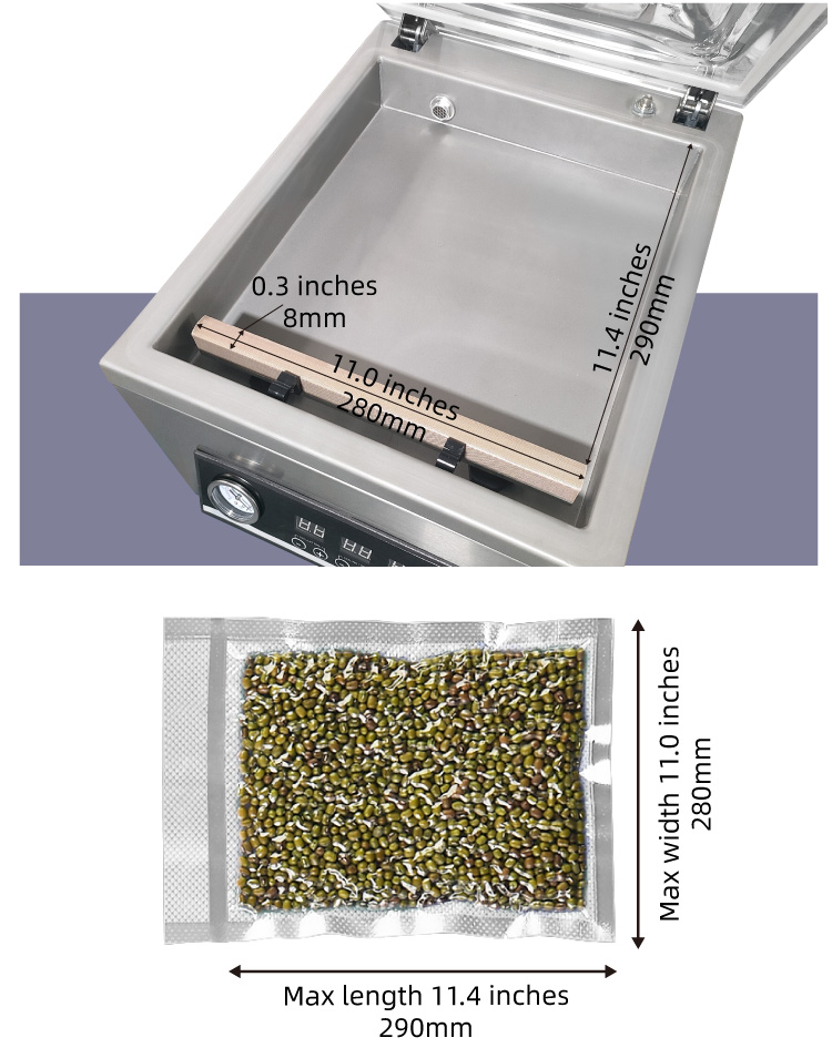 Oil-Free Vacuum Pump