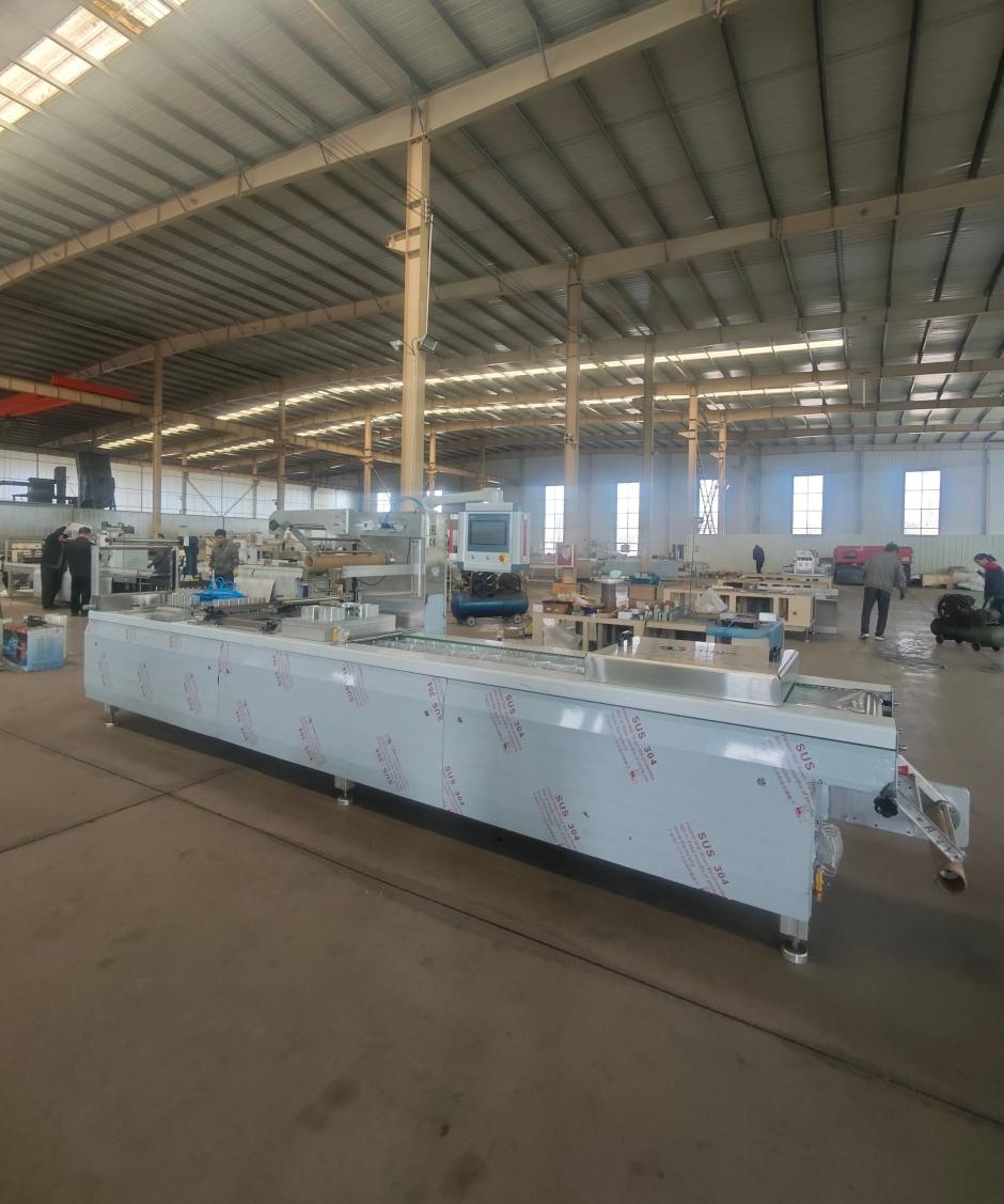 Thermoforming Vacuum Packaging Machine, for Sausages, Fish Products and Pastries; for Factory and Commercial Use.