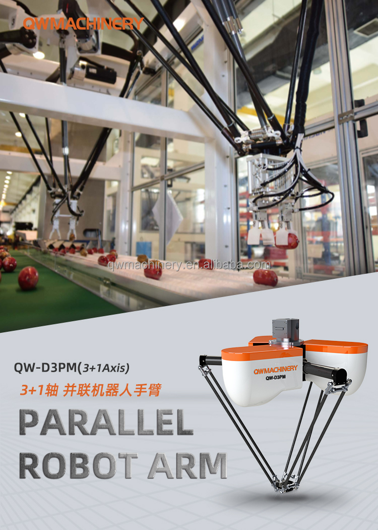Automated Cartons Erector and Sealing Machine