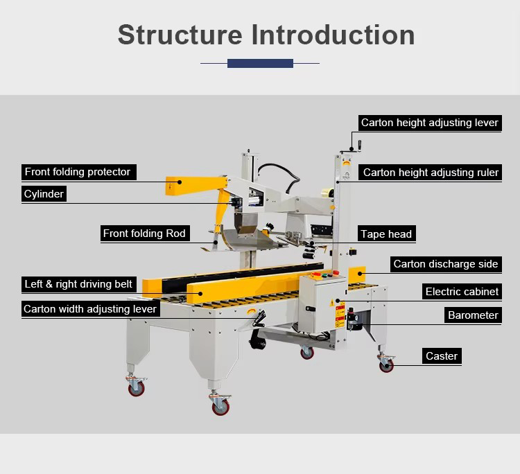 Automatic Cartoon Erectoing Box Closing and Taping Machine