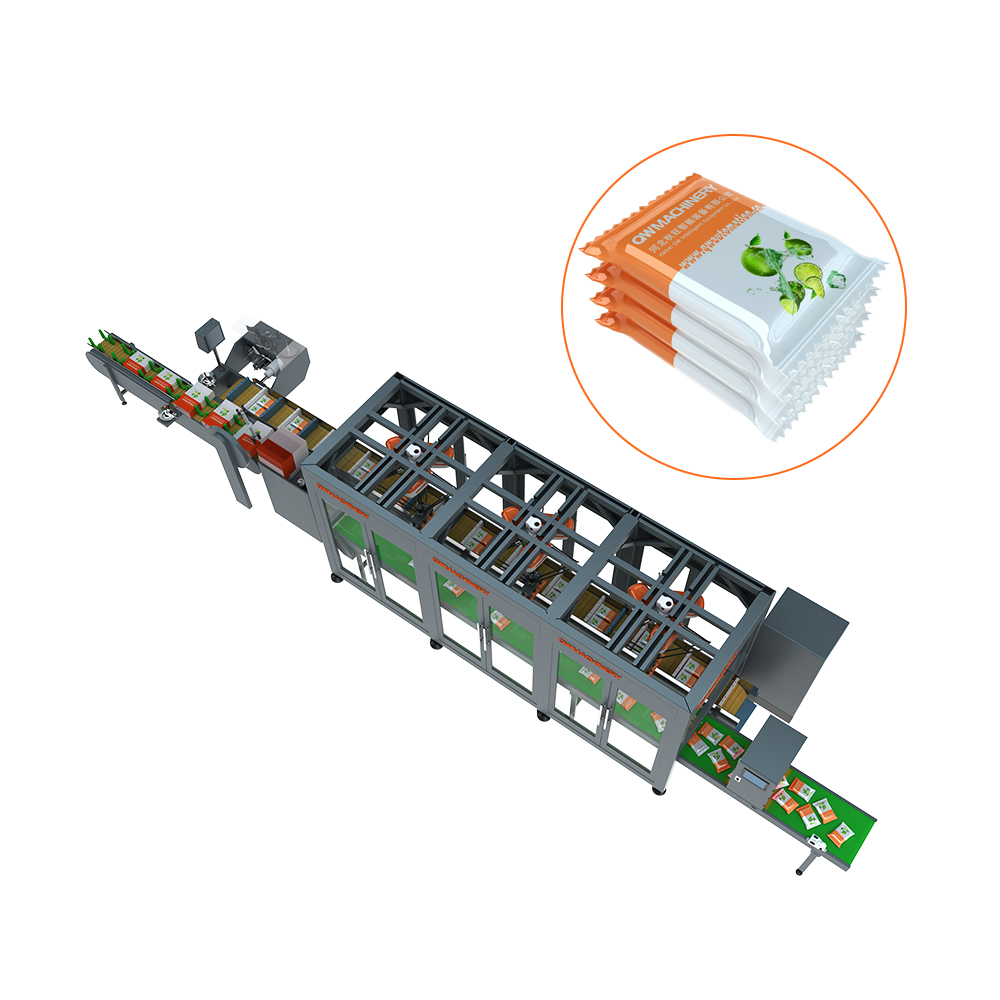 3+1 Axis Packaging System
