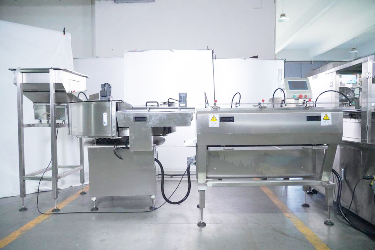 ECHO Automatic Bag Pouch Foil Film Flowpack Pillow Horizontal Flow Seal Packaging Machine