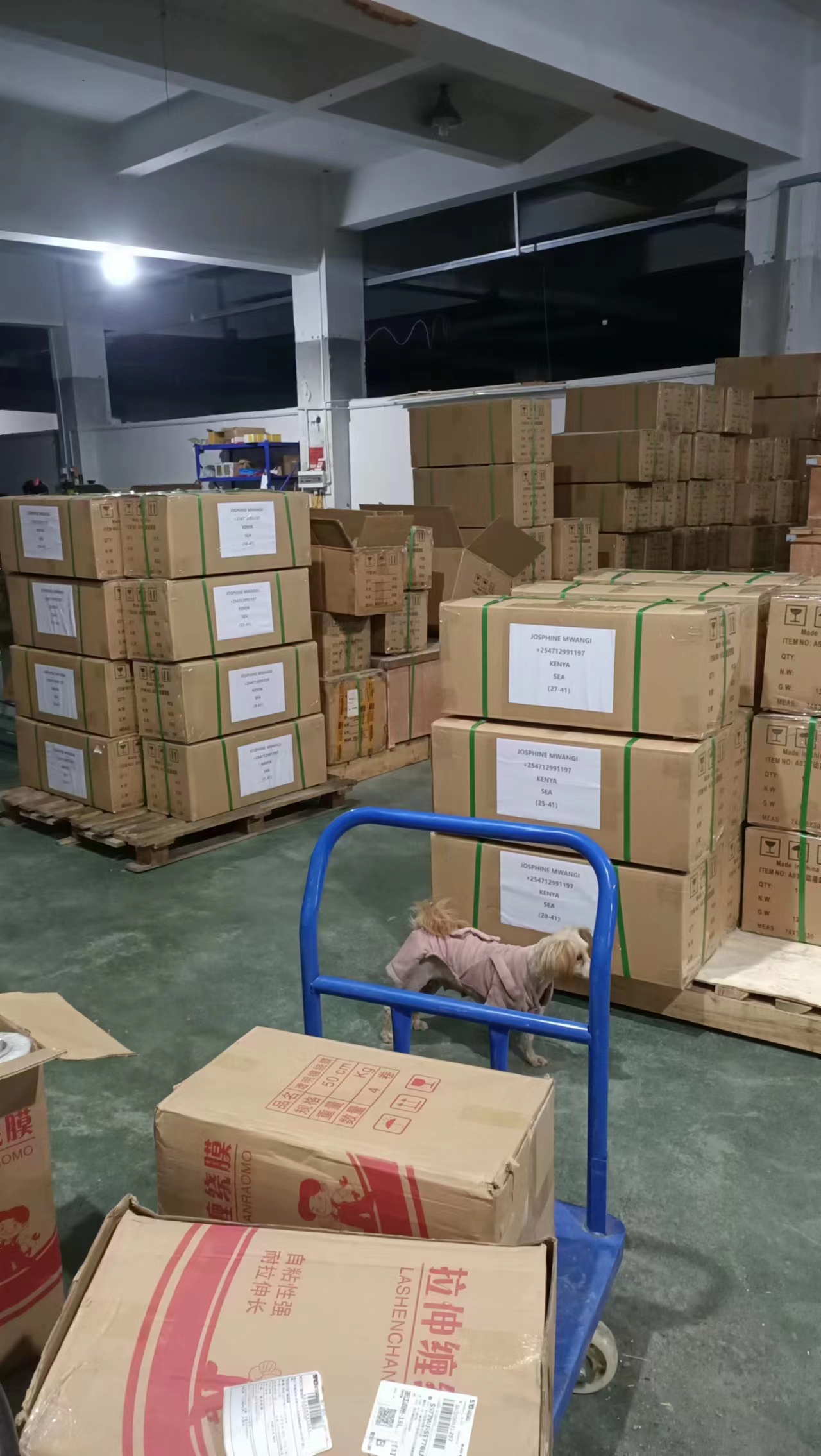 Packaged Sealer Unit ready for dispatch