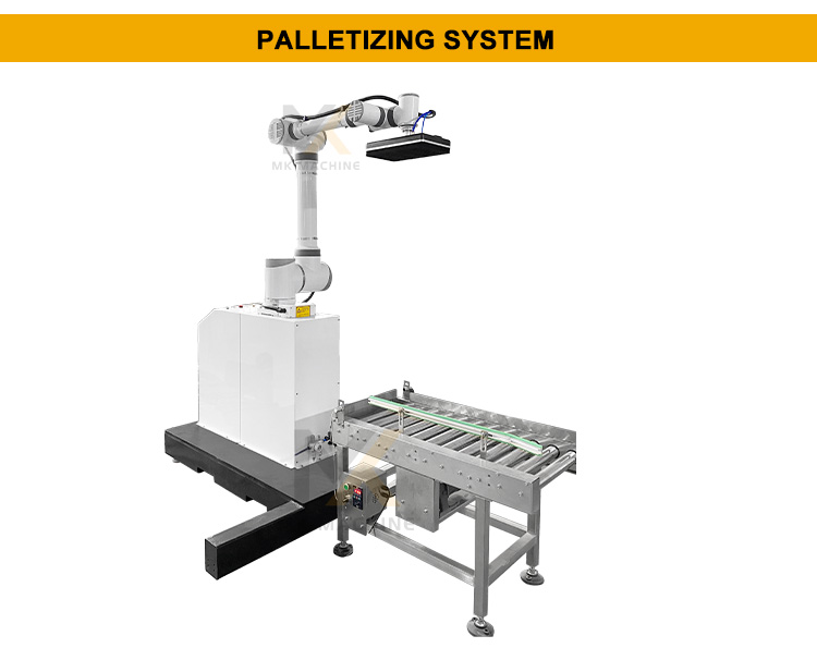 Delta Robot System