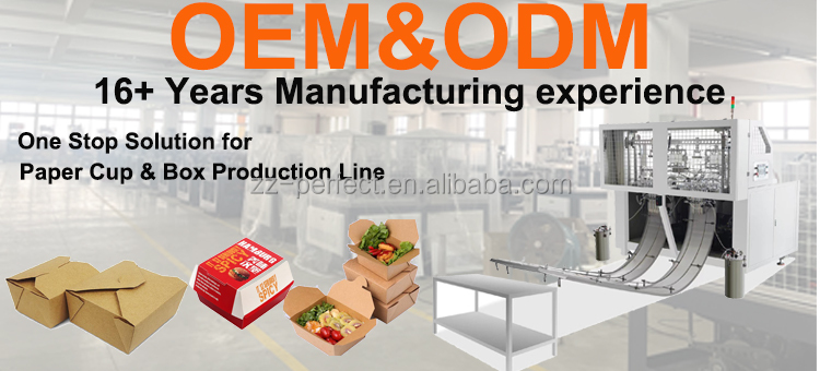 Double Station Paper Box Machine Overview