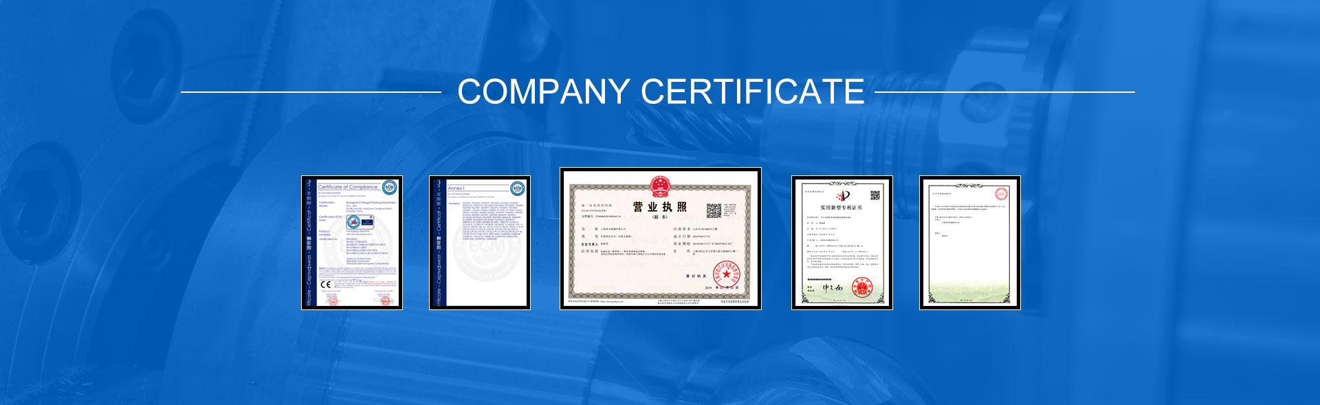Company Overview 3