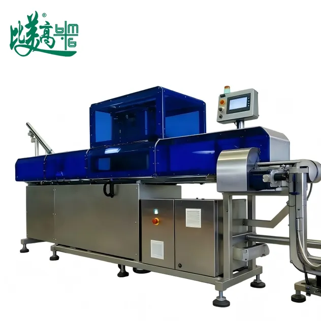Full-Auto Industrial Laser Marking Machines for Aluminum Can Cap Date Coding Traceability and Defective Product Sorting