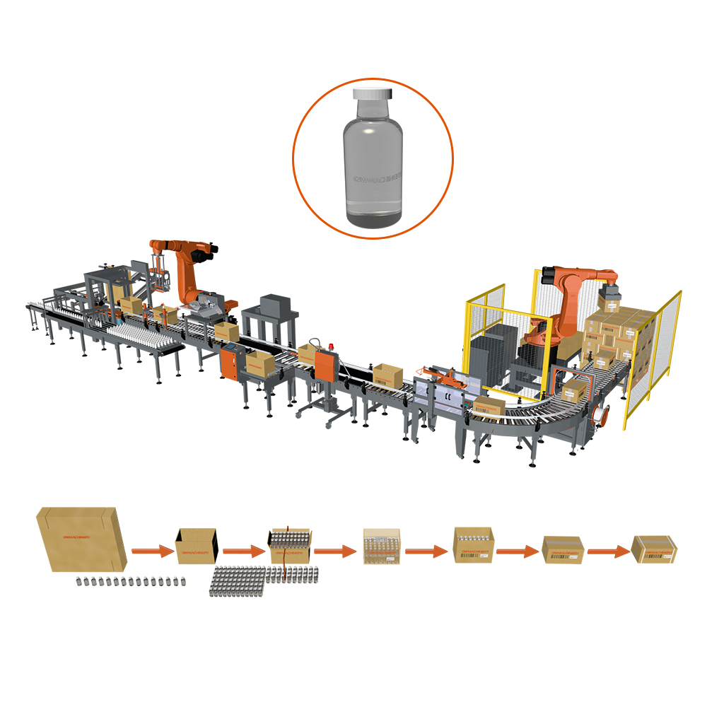 6 Axis Bottles Packaging System