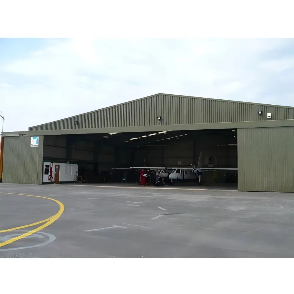 Fully Automated Poultry Prefab Steel Structure Long-Span Grid Customized Color Industrial Design Style Chicken Farming