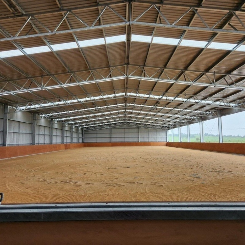 Automated High Rise Stereoscopic Warehouse Racking System Building Steel Structure