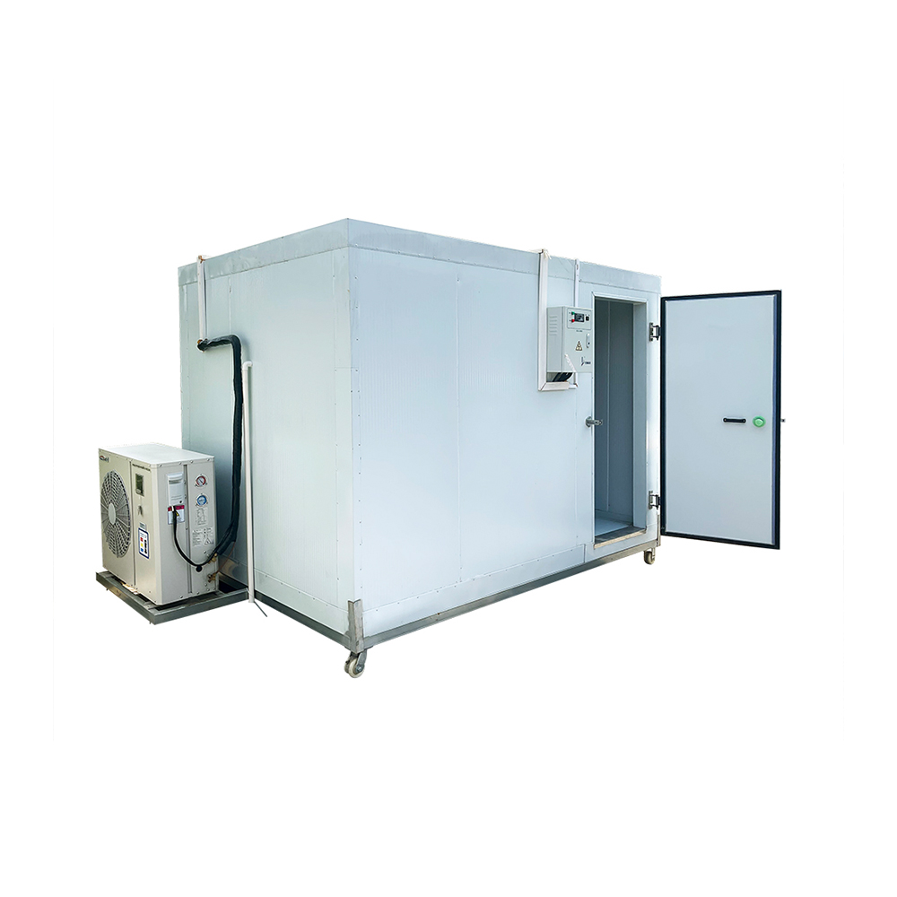 Cold Storage Warehouse Equipment Prefab Building 5*3*2.5 for Banana Ice Block Cold Room