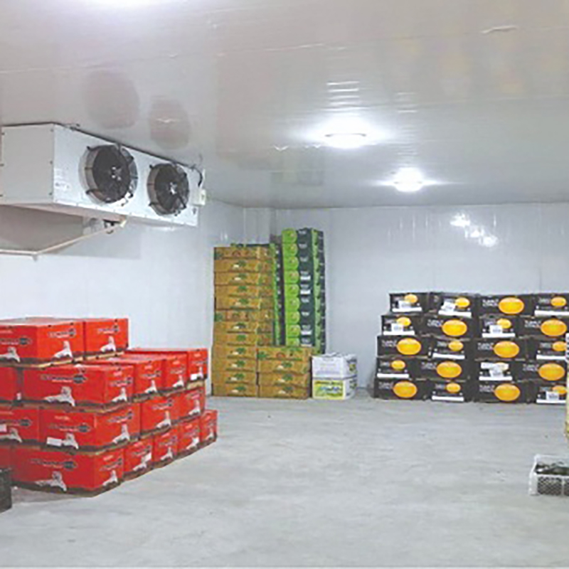Customized Large Scale Cold Storage Room PU Insulation Modular Cold Storage Warehouse
