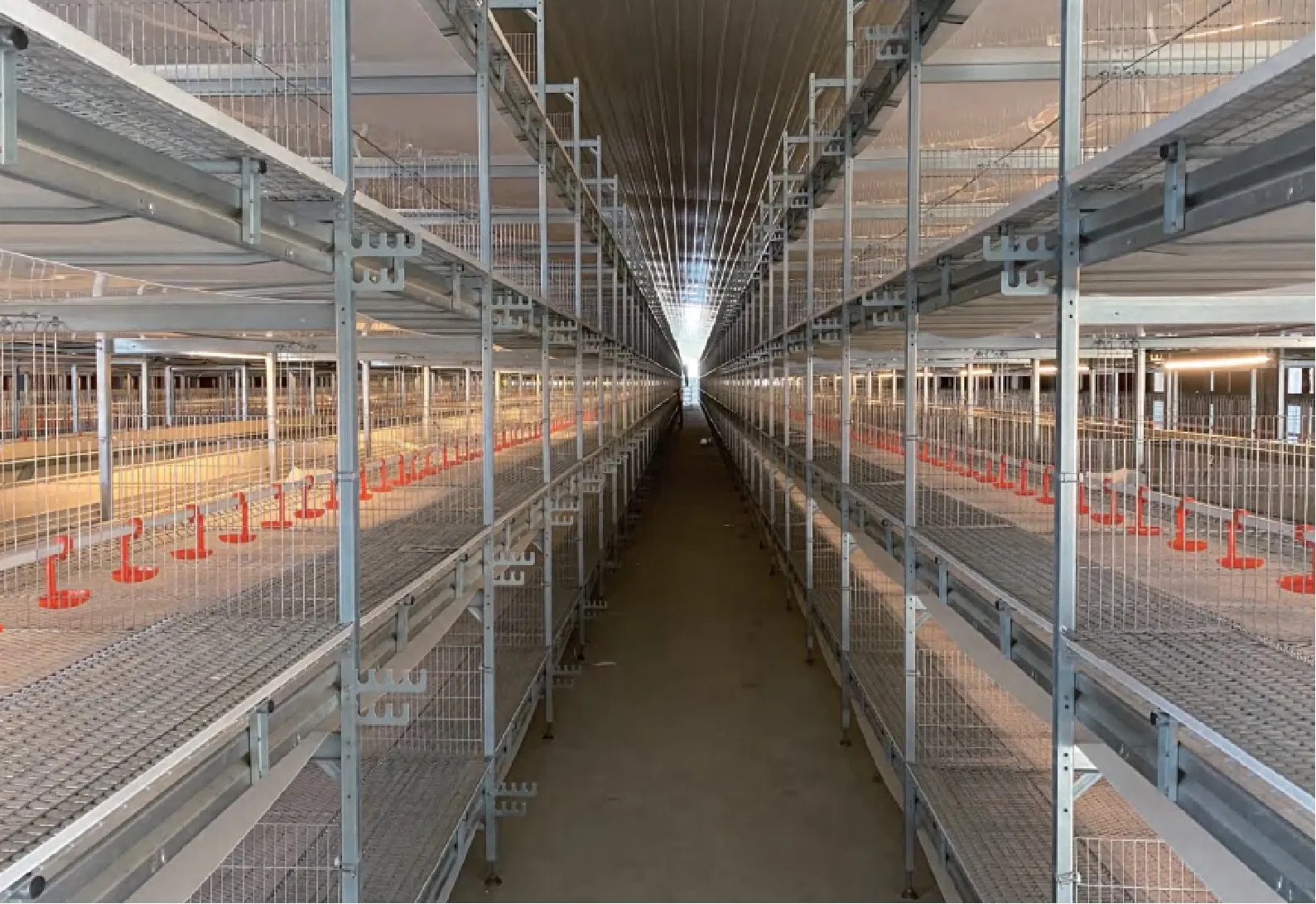 Intelligent Automated Steel Structure Chicken Coop with Environmental Control