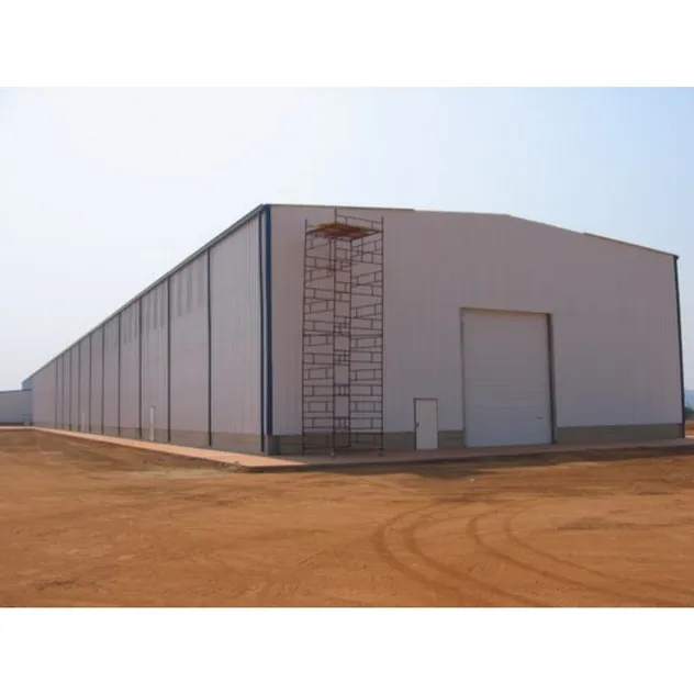 Versatile Steel Structure Buildings for Commercial Use and Storage