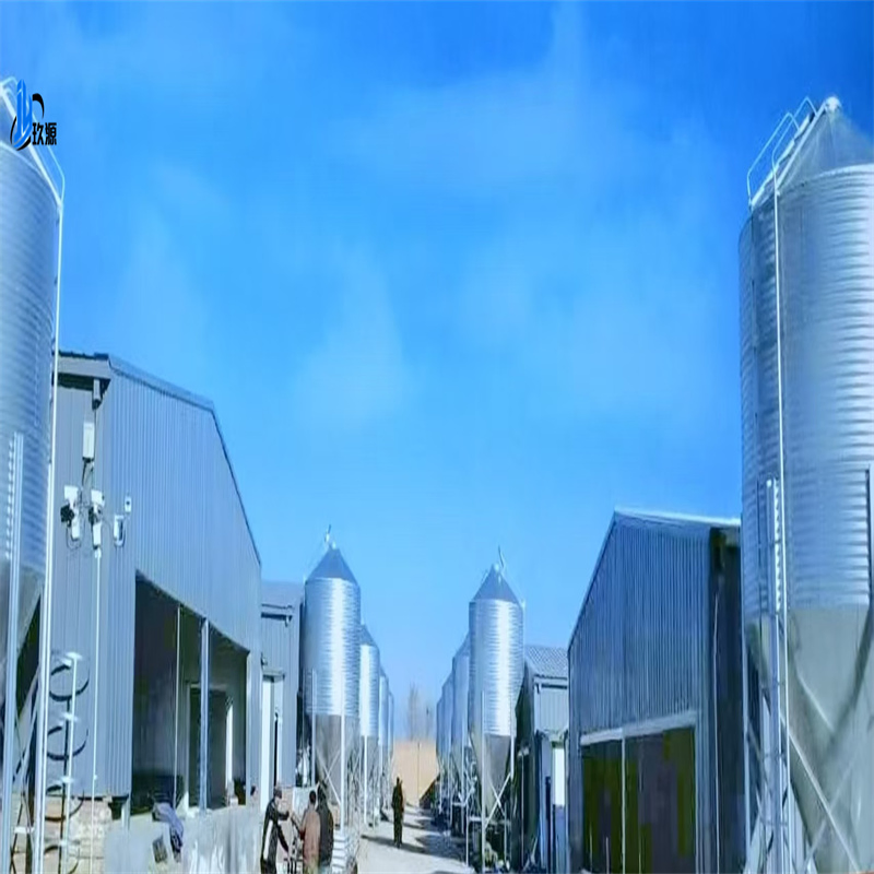 Customized Lightweight Steel Structure Building Materials, Modern Chicken Coop Warehouse, Farm Facilities