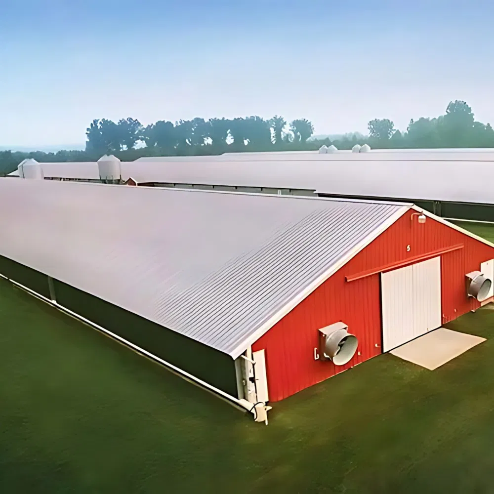 Poultry Prefab Houses Steel Structure Fully Automated Chicken Farming