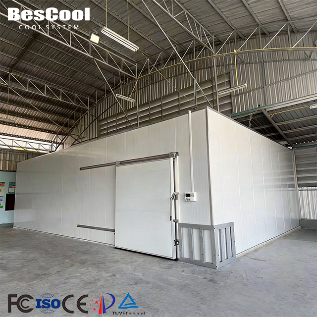 Large Scale Cold Storage Warehouse Cold Room With Refrigeration System One-Stop Solution For Fruit Vegetable Contractors