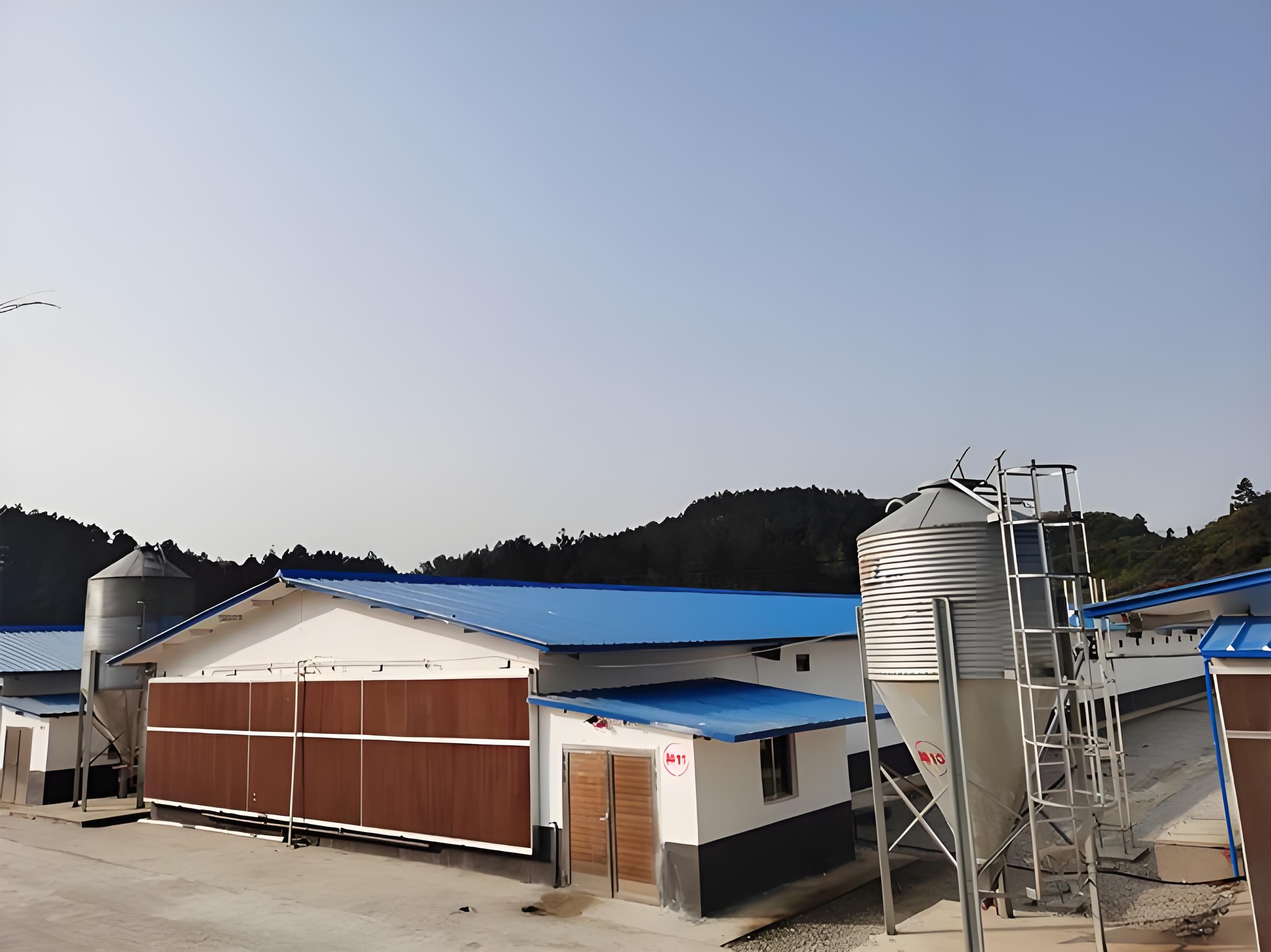 Pre-fabricated Agricultural Warehouse Breeding Equipment Poultry (chicken) House Layer Chicken Farm Farm Control Shed Building