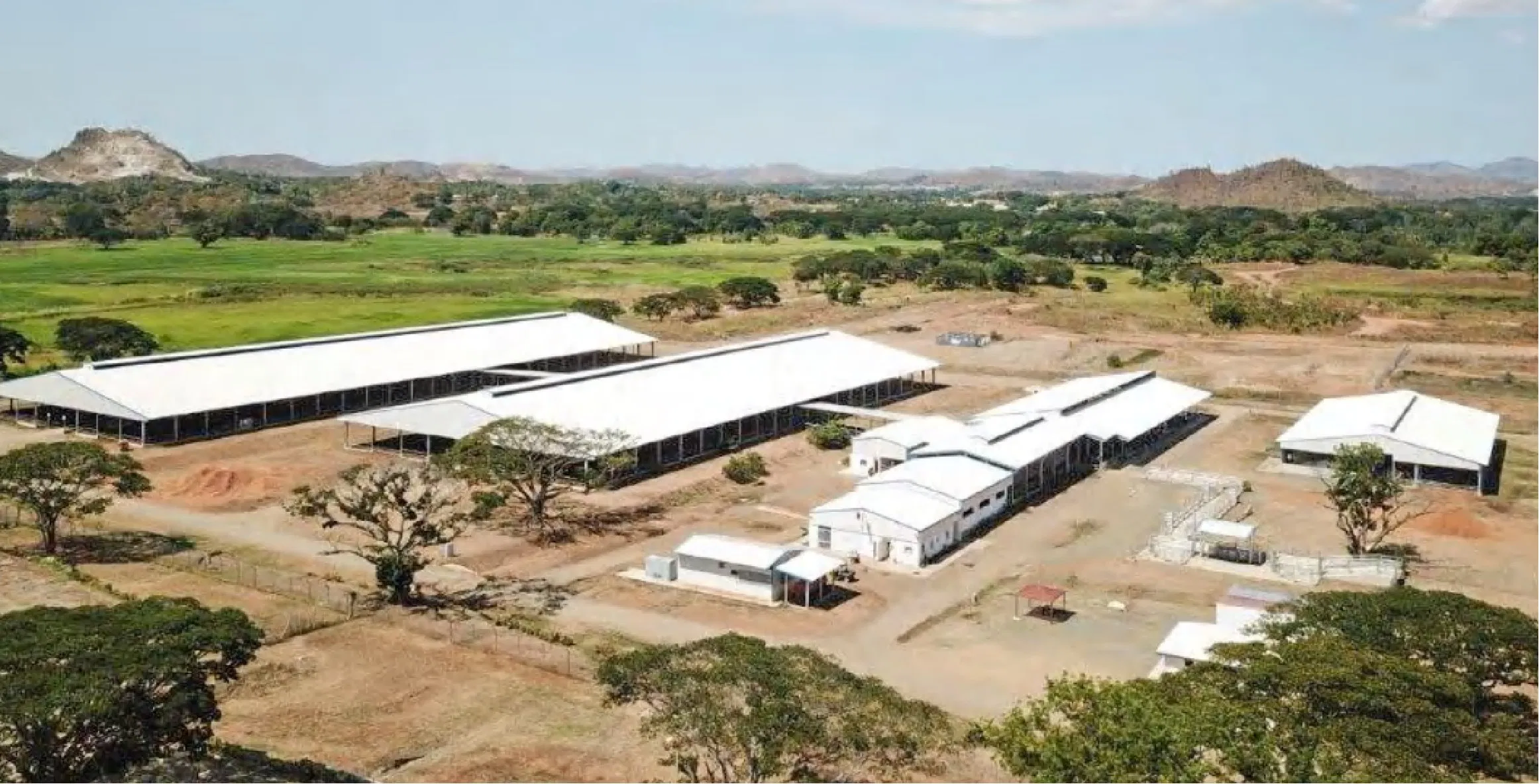 Intelligent Automated Steel Structure Chicken Coop with Environmental Control