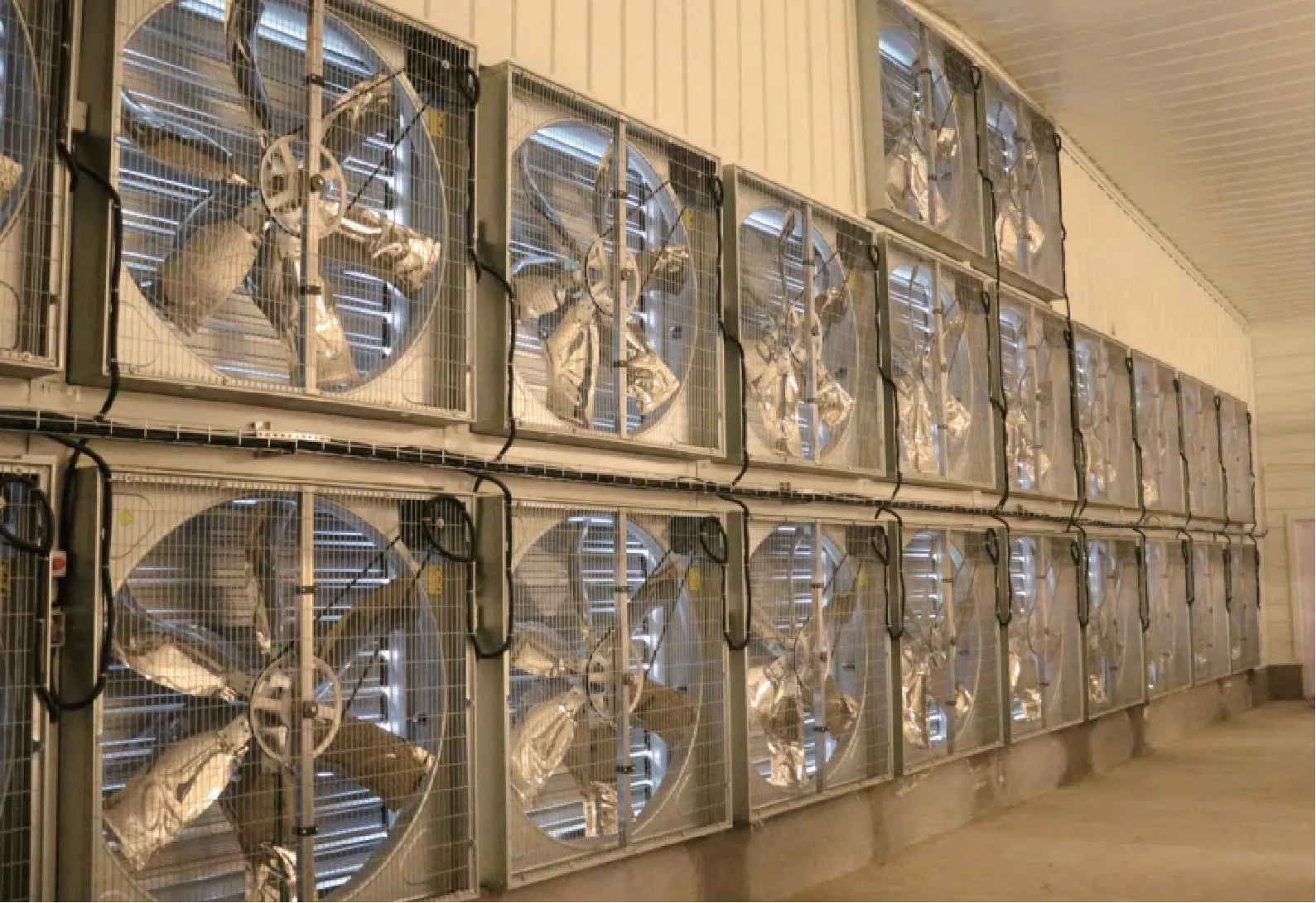Intelligent Automated Steel Structure Chicken Coop with Environmental Control