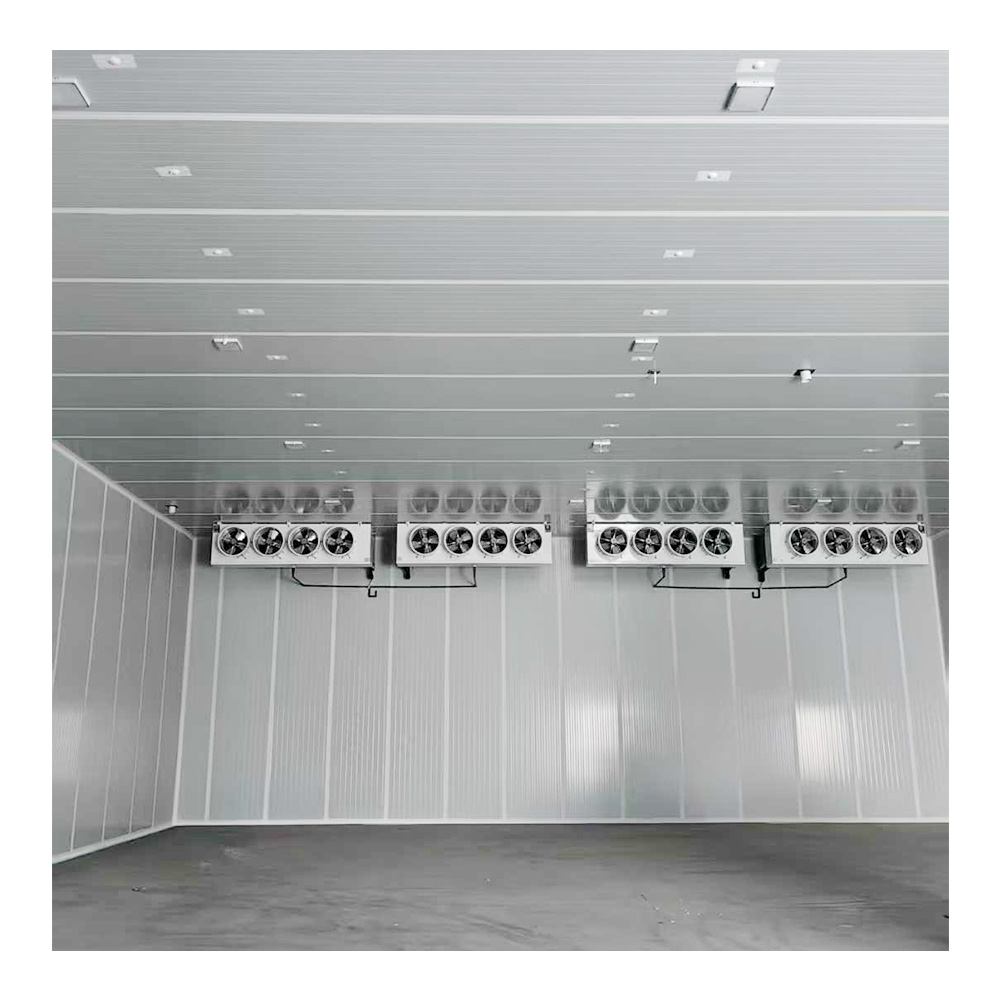 Walk in Freezer Cold Room Storage Large Warehousing Prefabricated Buildings for Steel Cold Storage
