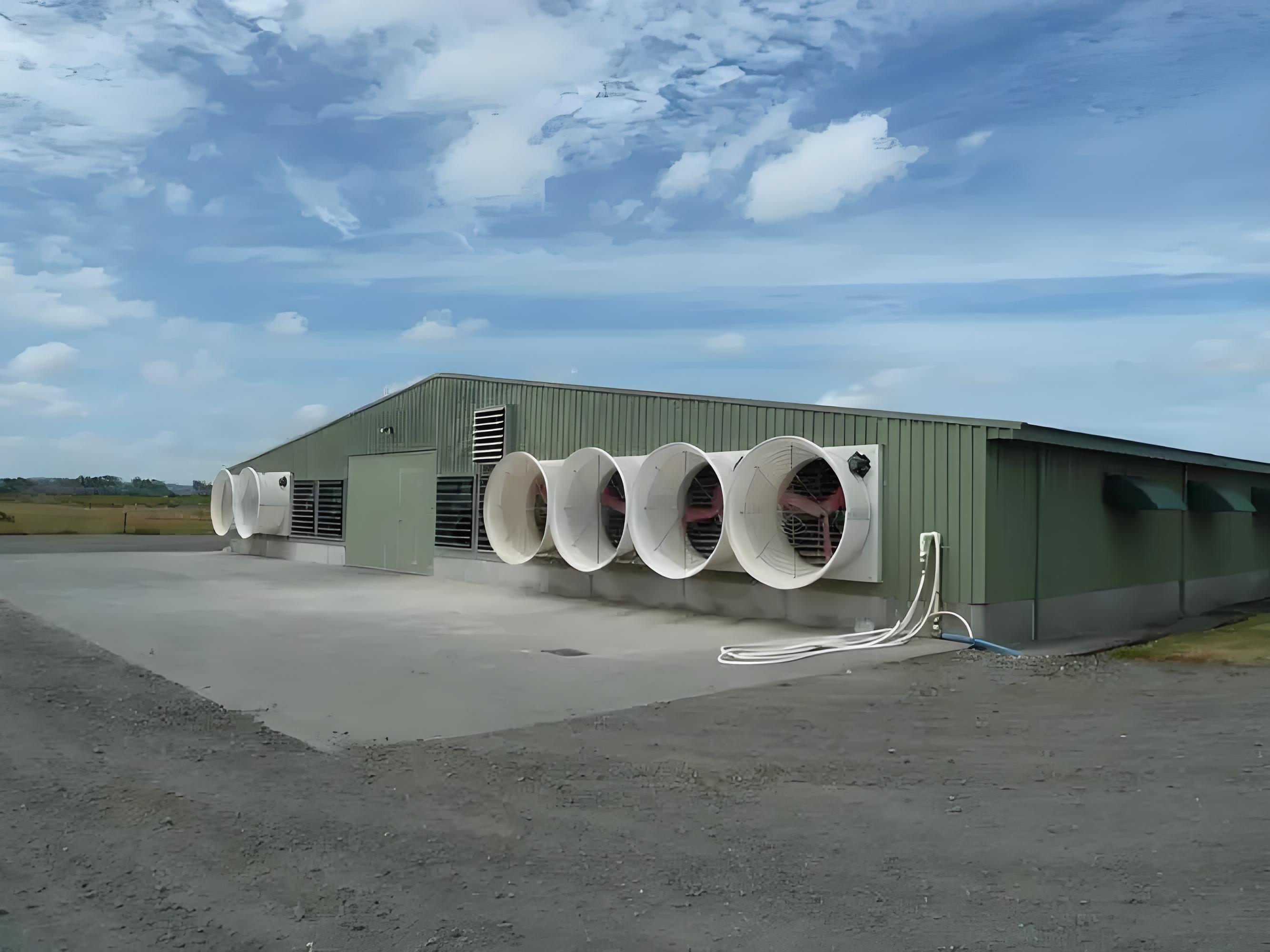 Poultry Housing Steel Structure Buildings for Poultry Farming