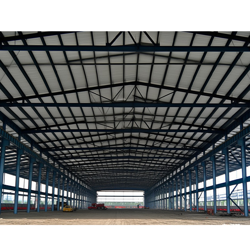 Modern Steel Structure Pre Engineered Long-span Grid Prefabricated Warehouse and Factory Building with Insulated Sandwich Panels