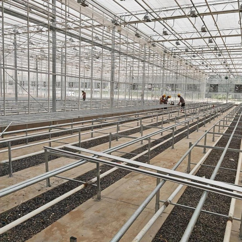 Quick Assemble Prefab Steel Frame Storage Building Supply for Farm Commercial Structures