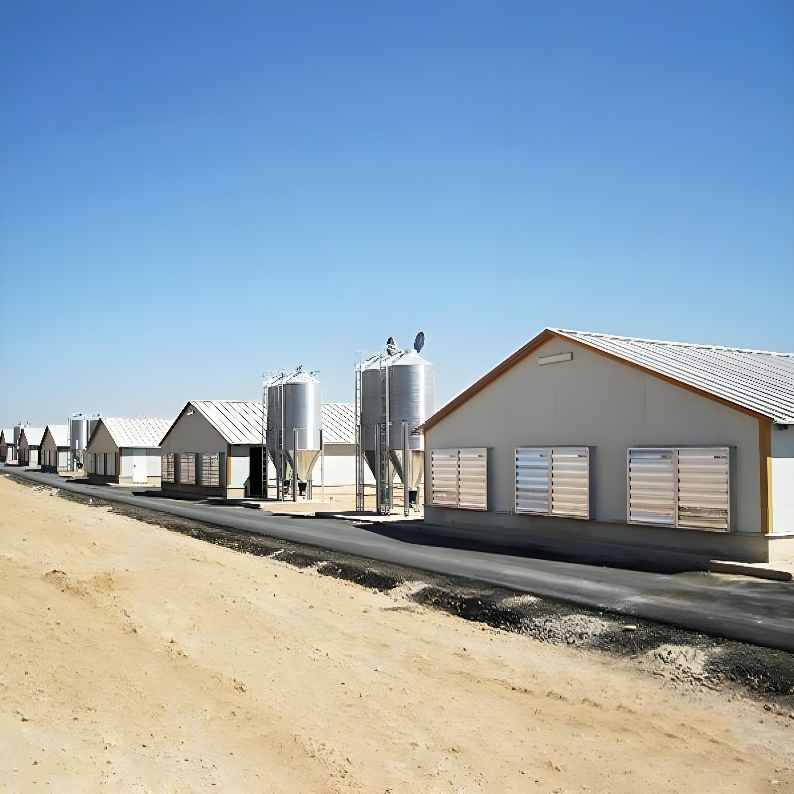 Pre-fabricated Agricultural Warehouse Breeding Equipment Poultry (chicken) House Layer Chicken Farm Farm Control Shed Building