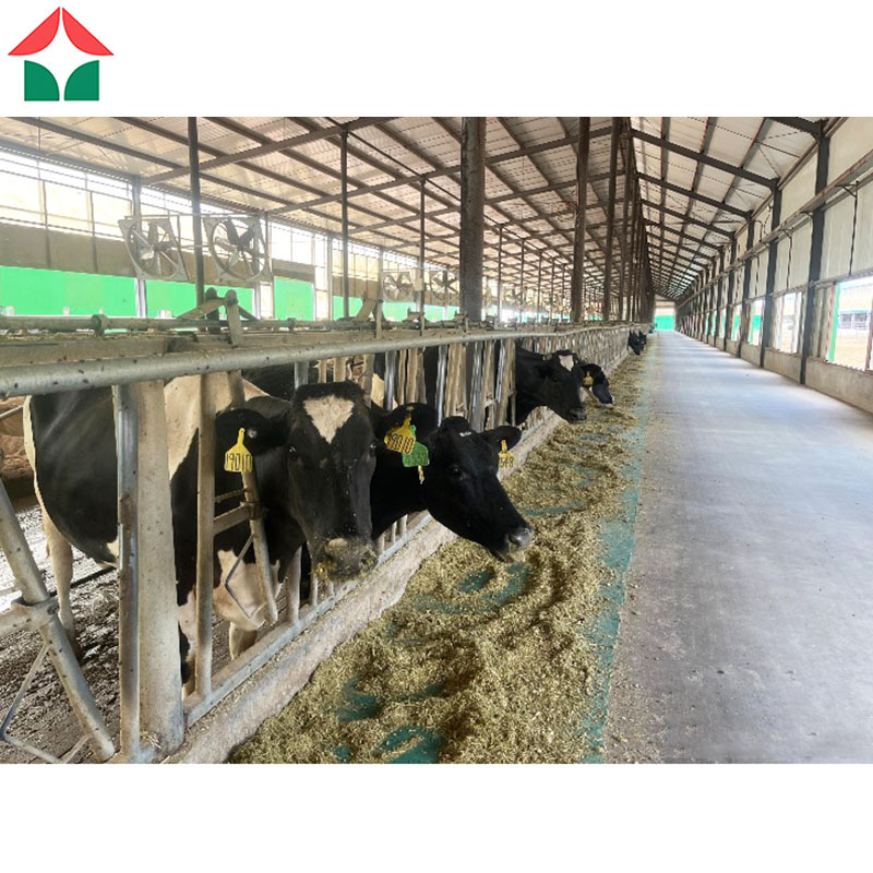 Metal Building Materials Kits Prefab Warehouse Shelter Structures Equipement Prefabricated Sheds Storage Outdoor Cow Farm