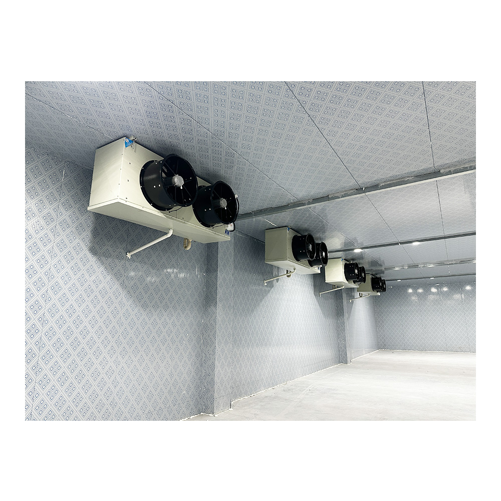 Walk in Freezer Cold Room Storage Large Warehousing Prefabricated Buildings for Steel Cold Storage