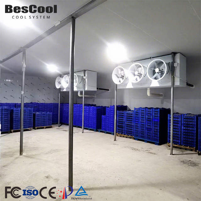 Large Scale Cold Storage Warehouse Cold Room With Refrigeration System One-Stop Solution For Fruit Vegetable Contractors
