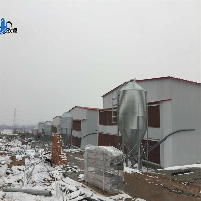 Customized Lightweight Steel Structure Building Materials, Modern Chicken Coop Warehouse, Farm Facilities