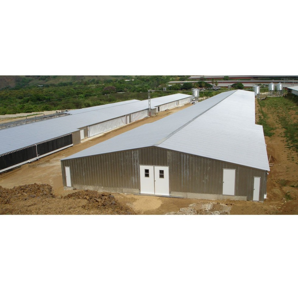 Modern Fully-Automated Poultry Farm Chicken House Lightweight Steel Structure H-Shape Steel Beams