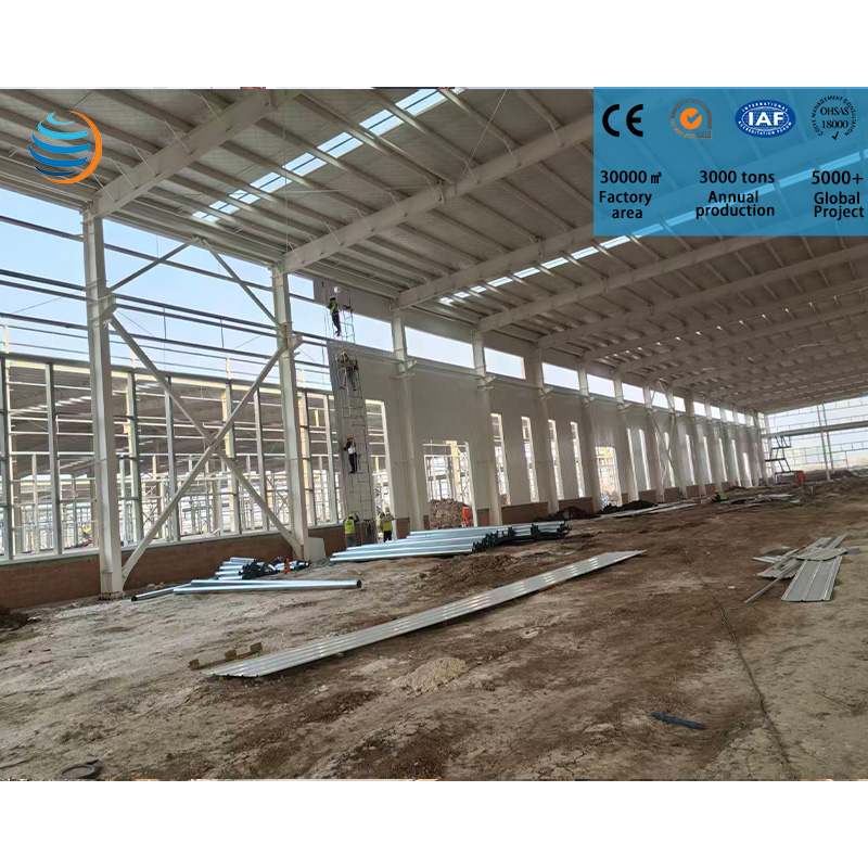 Fast Installation Steel Warehouse Building with Clear Span Structure for Logistics Distribution Centers
