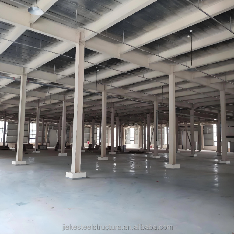 Long-Span Pillar-Free Warehouse with Heightened Mezzanine &amp; Heavy Crane, Moisture-Proof for Barn, Garage &amp; Transit Storage