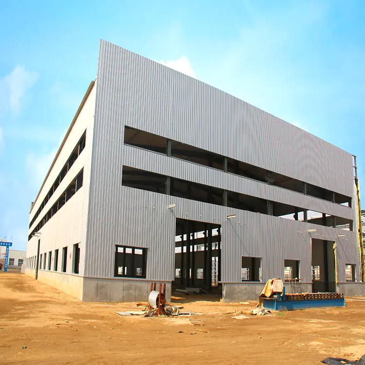 Cost-Effective Building Material Metal Panel Insulated Steel Structure Cold Storage Warehouse