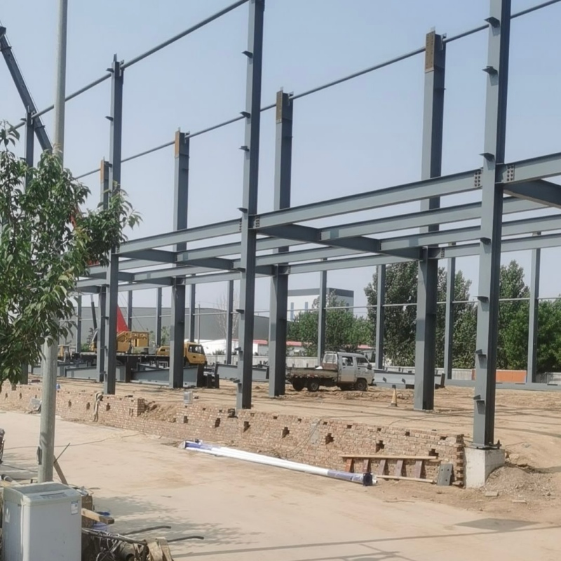 Commercial Rental Storage Steel Structure Storage Building for Business
