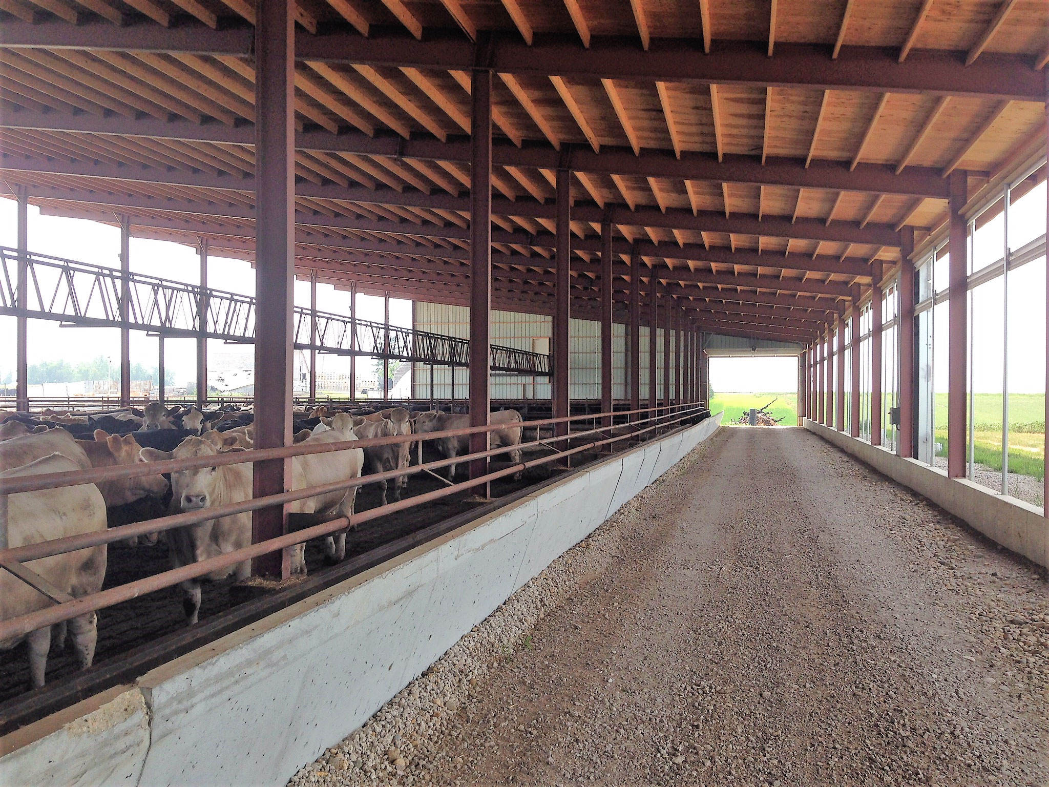 Light Metal Building Materials Kits With Welding &amp; Cutting Services For Prefab Warehouse Shelter Storage Sheds Outdoor Cow Farm