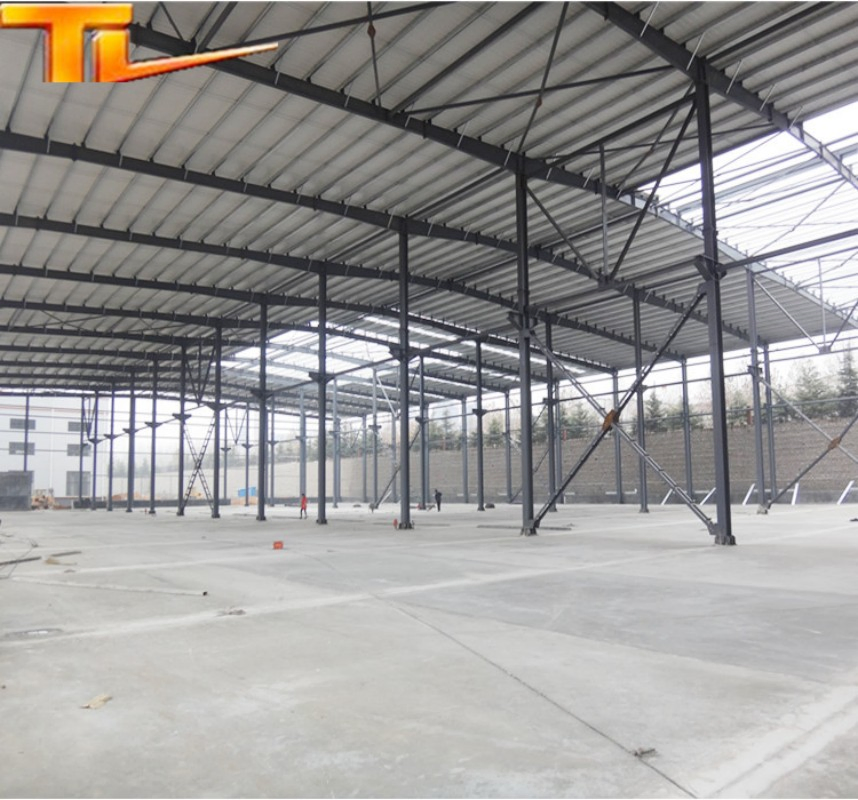 Steel Structure Prefab Houses Storage Sheds Commercial Buildings Metal Frame