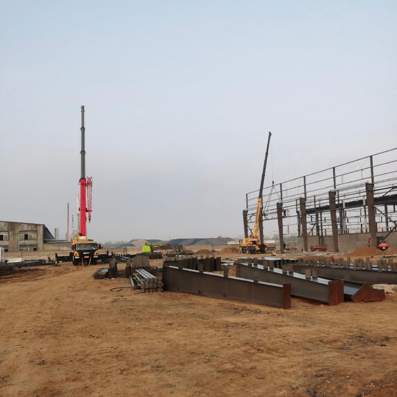 Commercial Rental Storage Steel Structure Storage Building for Business