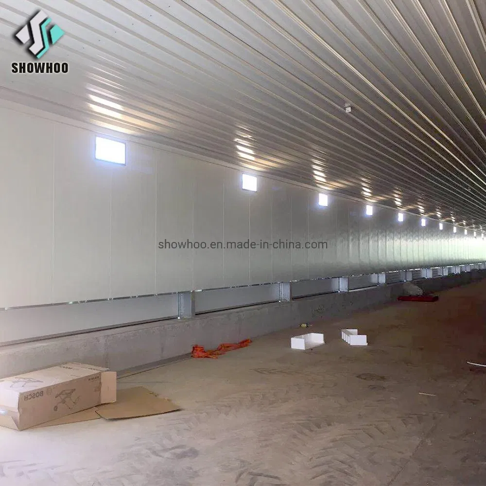 Steel Structure with Fiberglass Sandwich Panel Automatic Chicken Poultry Farm House