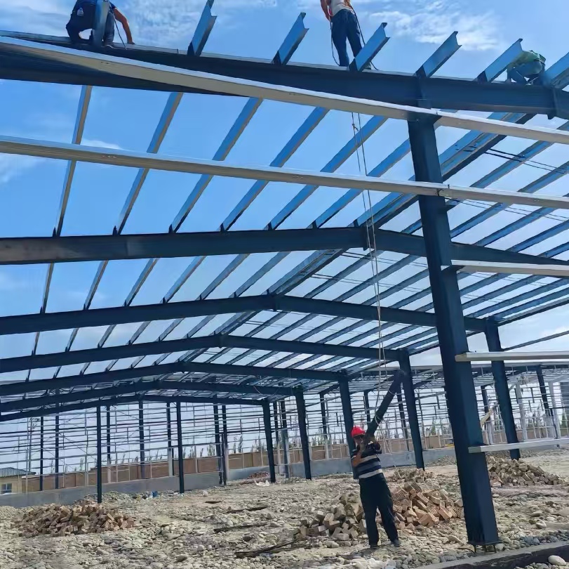 Large Span Prefabricated Steel Structure Building for Industrial Factory Workshop and Logistics Distribution Center