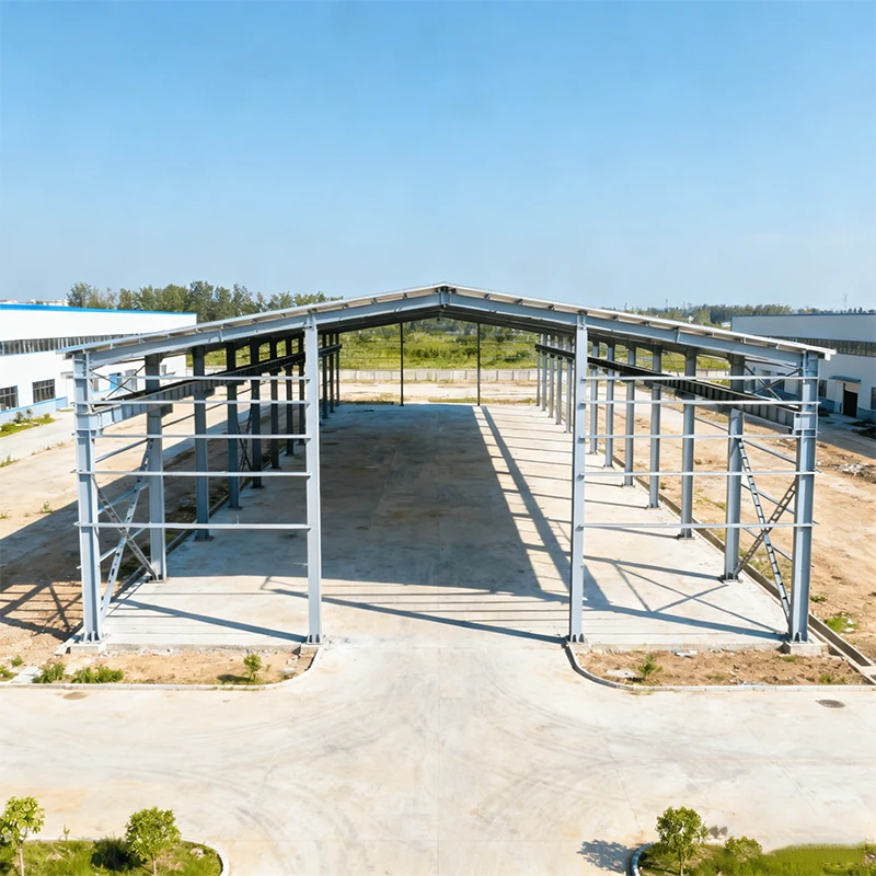 Warehouse Steel Structure Building One Stop Service Metal Steel Structure Warehouse Distribution Logistics Center