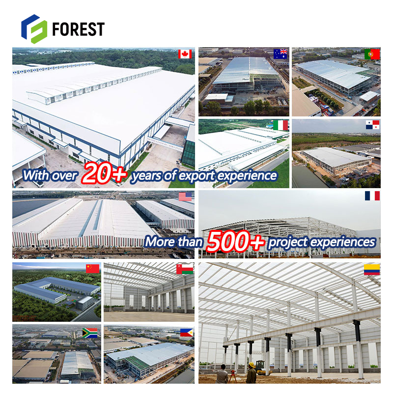 Prefabricated Steel Long-span Grid Workshop Apartment Warehouse Logistics Center Distribution Facility Building Industrial Frame