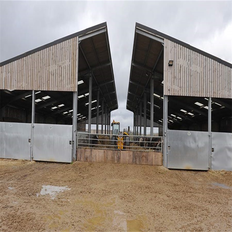 Steel Structure 1